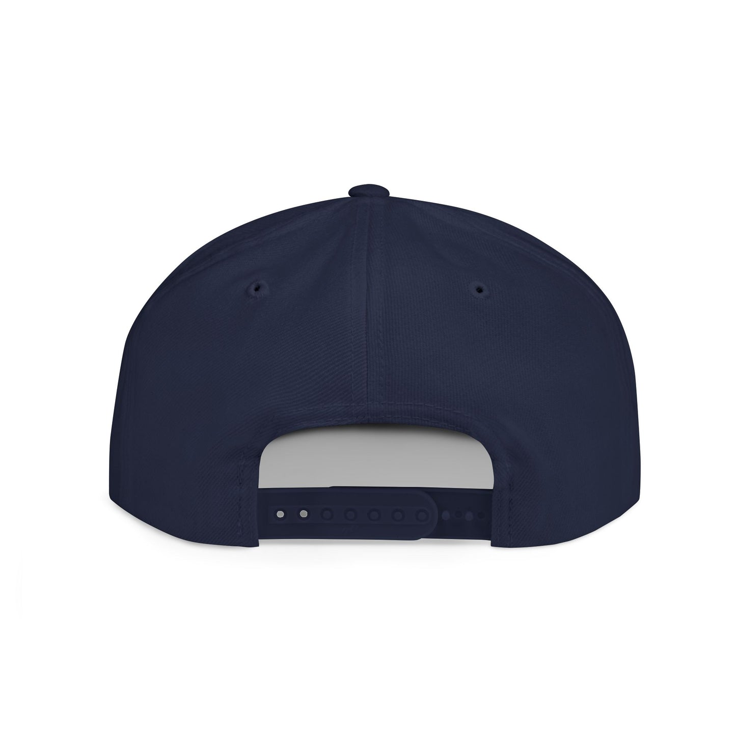 BIG PIPES 313 detroit Flat Bill Snapback