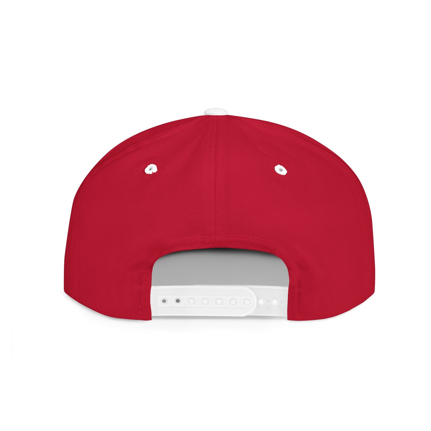 BIG PIPES 313 detroit Flat Bill Snapback