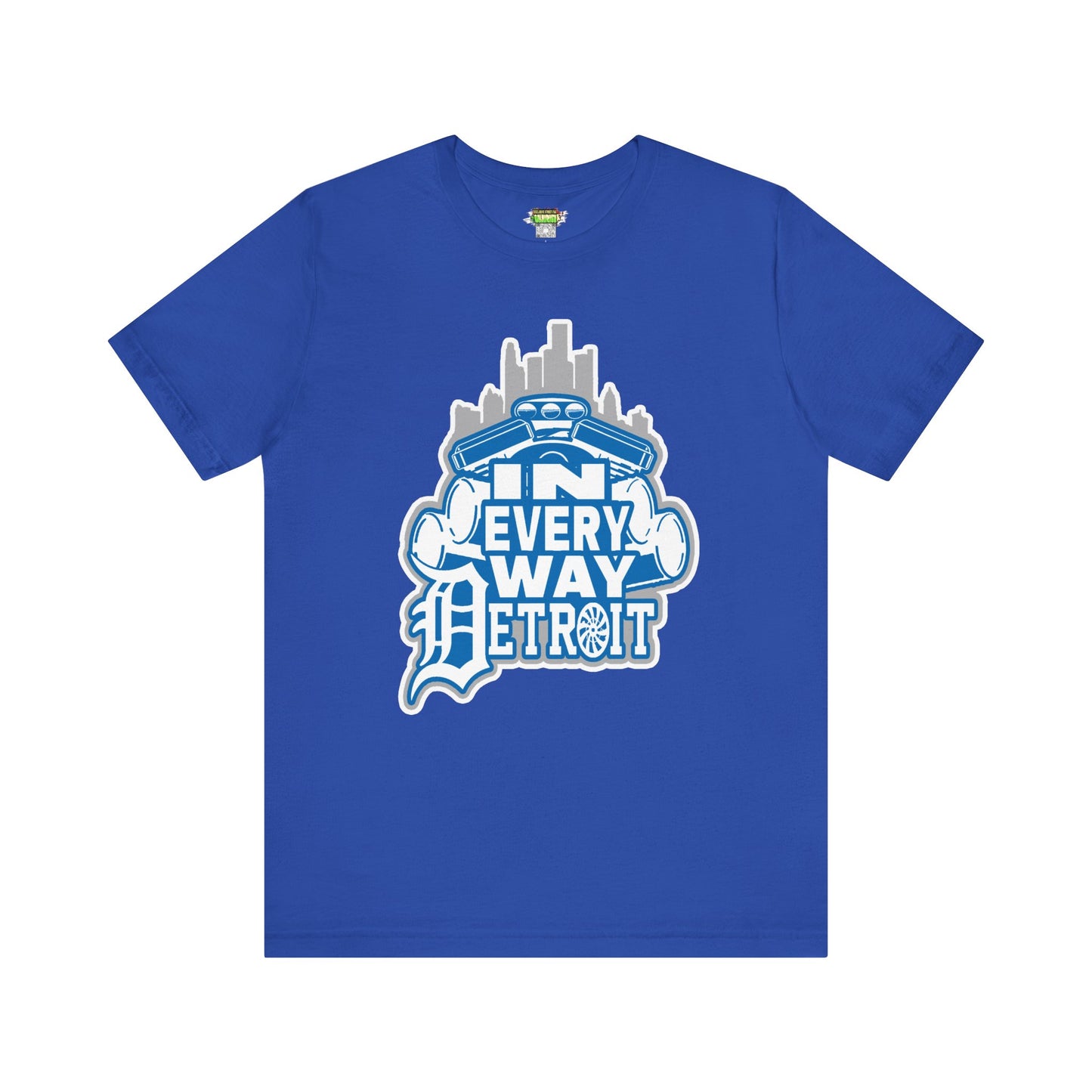 In every way detroit Lions Color tee