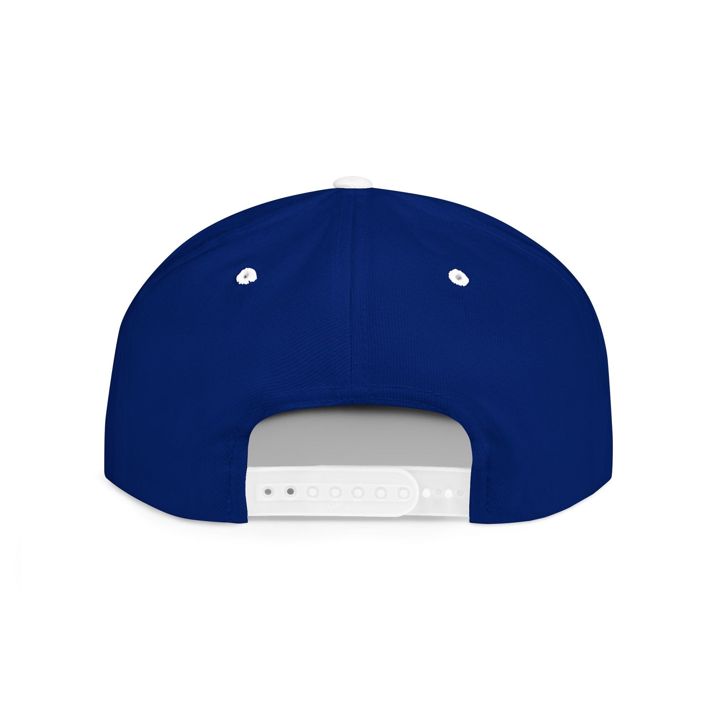 BIG PIPES 313 detroit Flat Bill Snapback