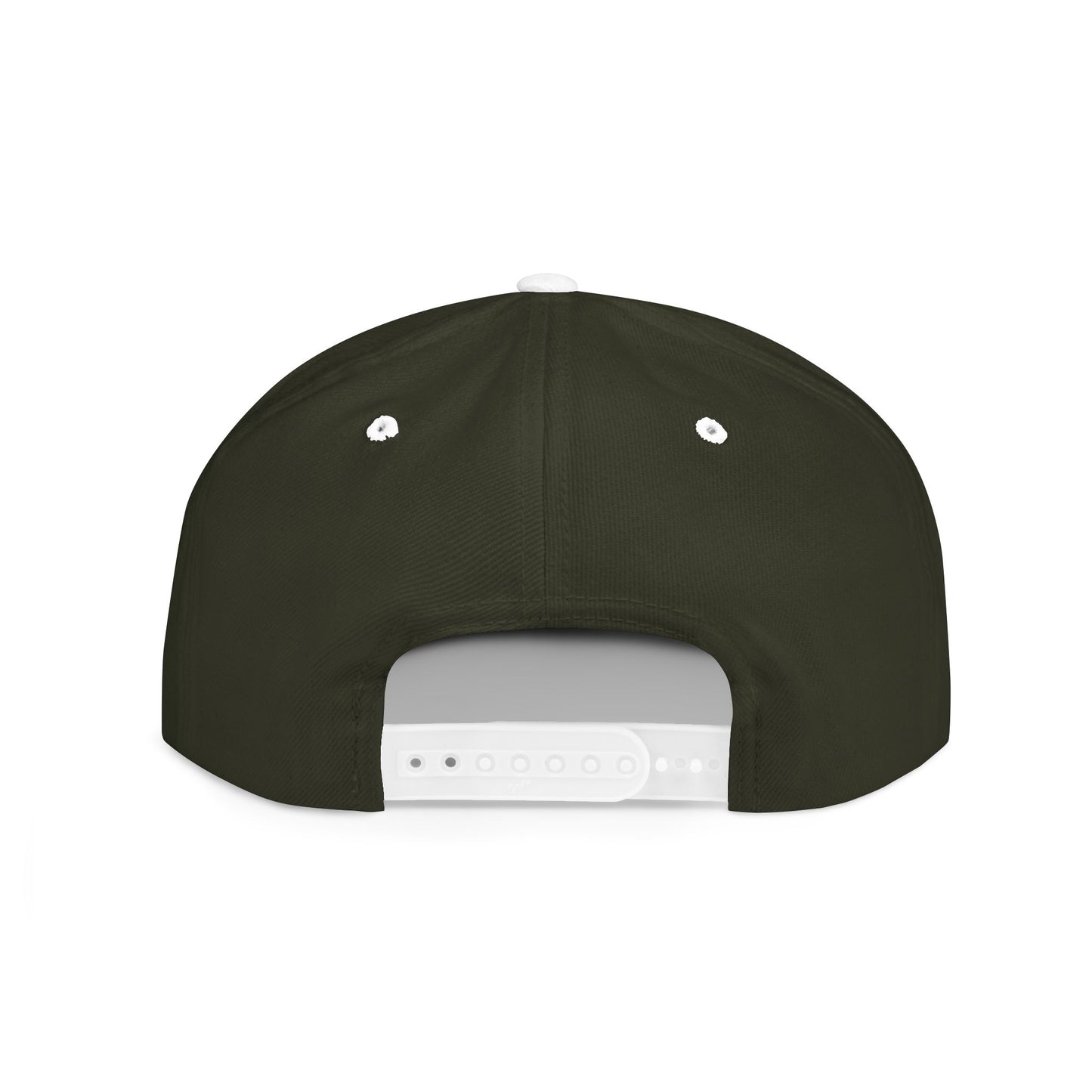 BIG PIPES 313 detroit Flat Bill Snapback