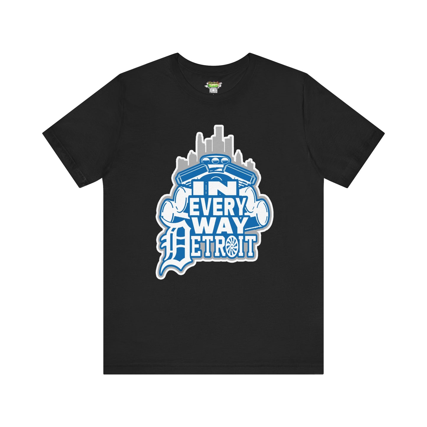 In every way detroit Lions Color tee