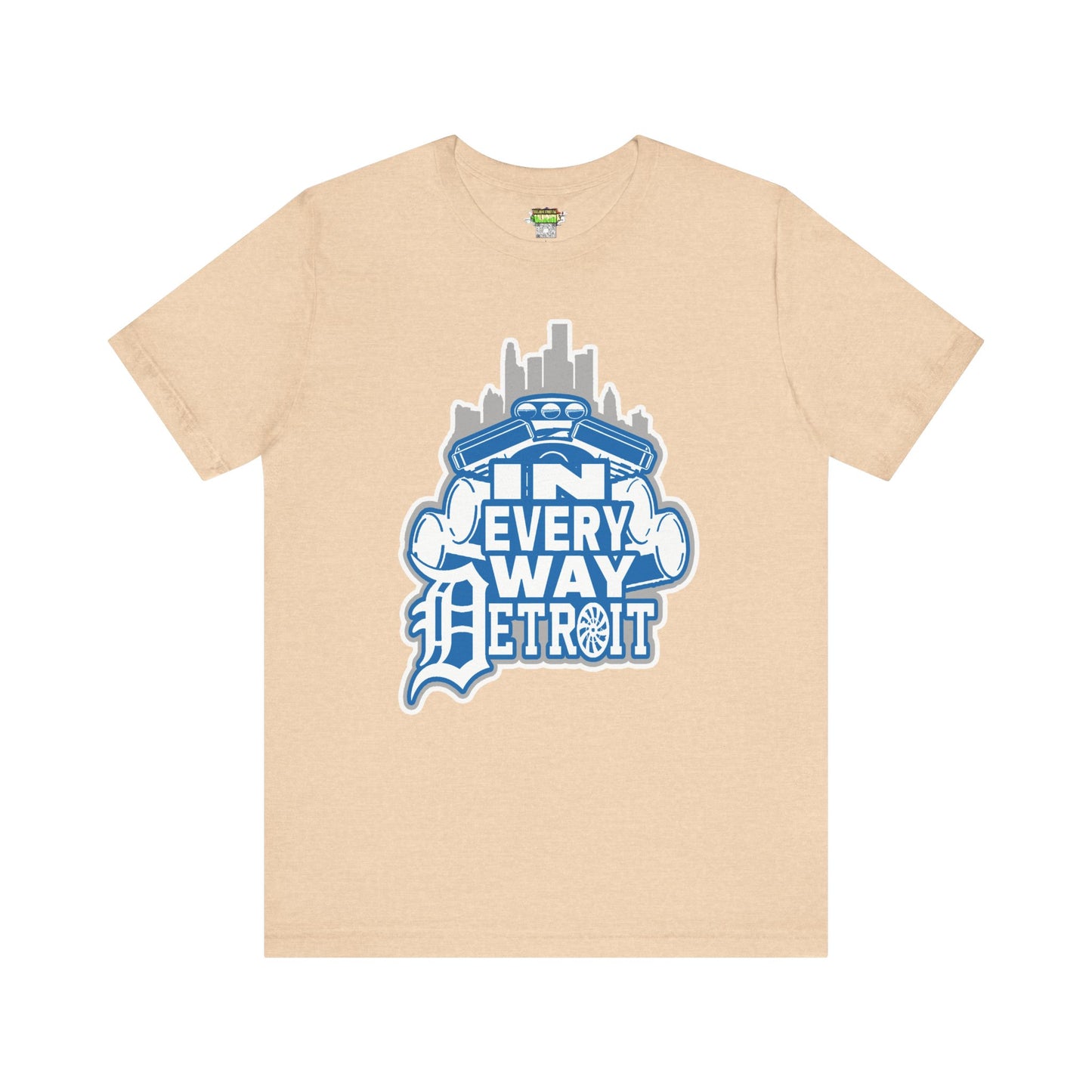 In every way detroit Lions Color tee