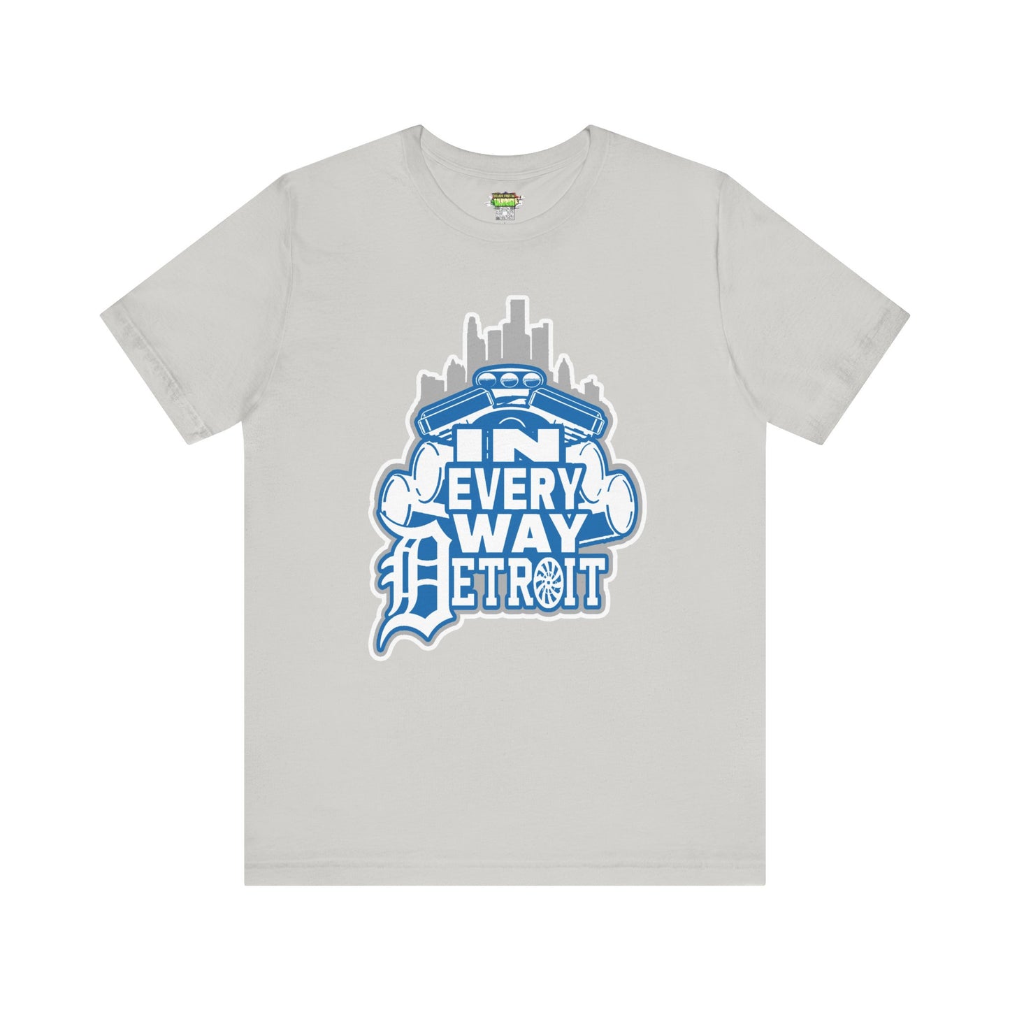 In every way detroit Lions Color tee