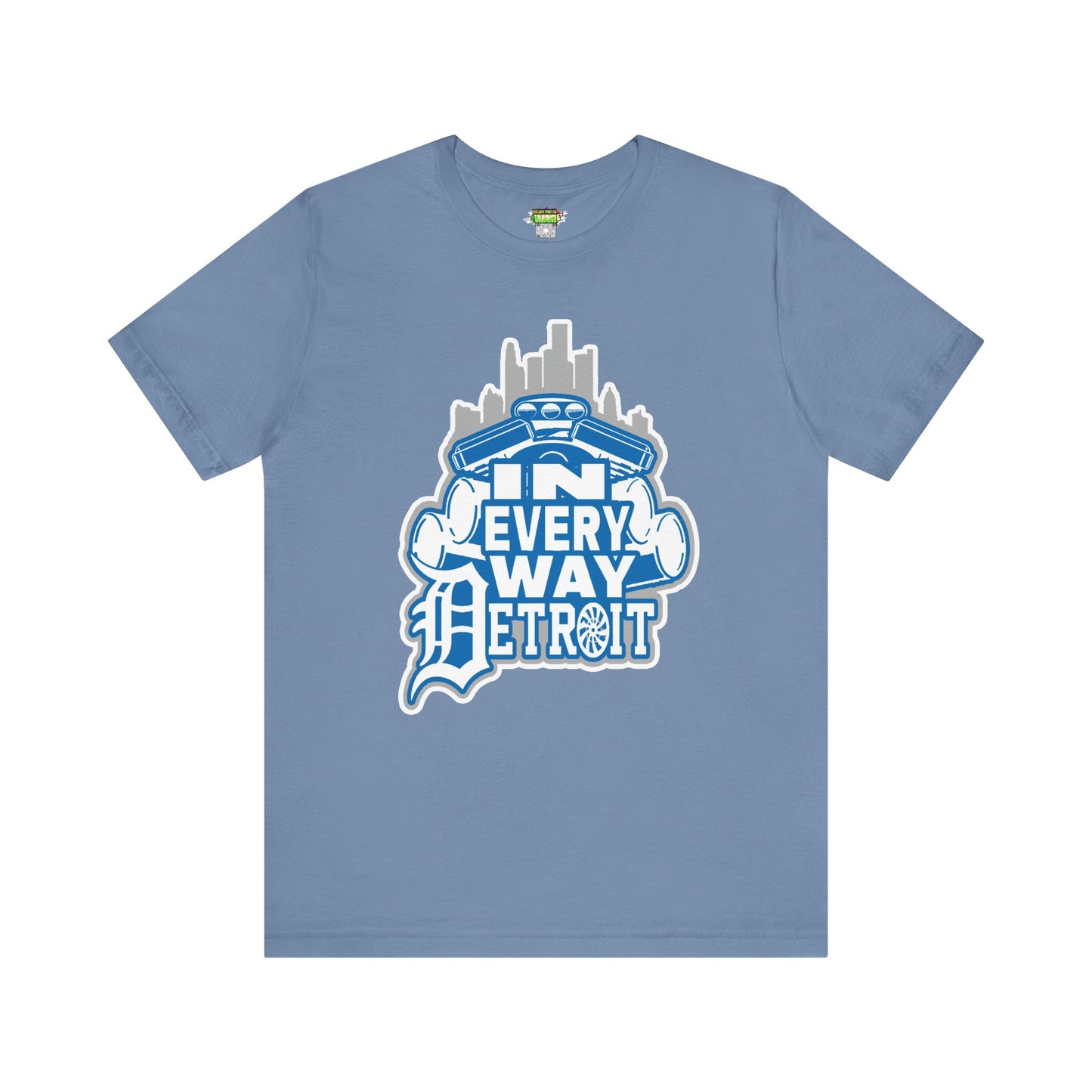 In every way detroit Lions Color tee
