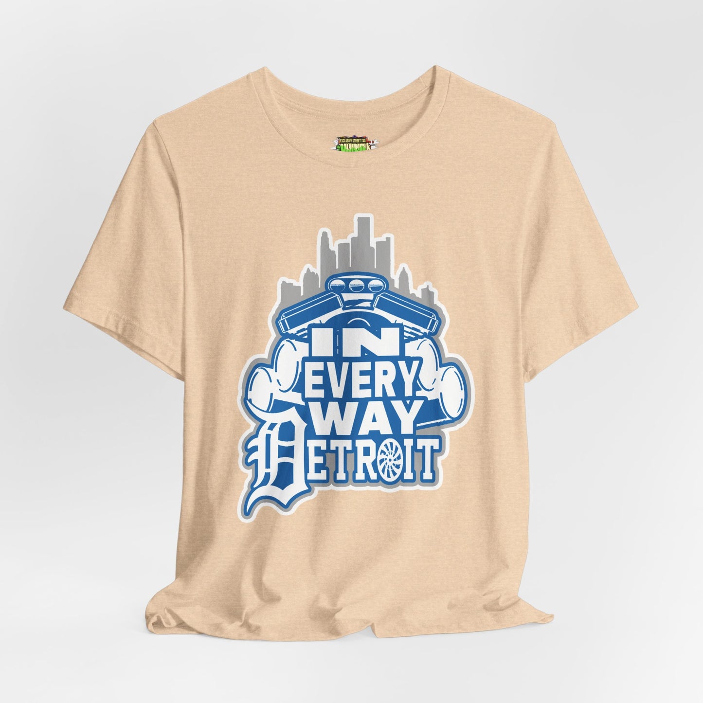 In every way detroit Lions Color tee