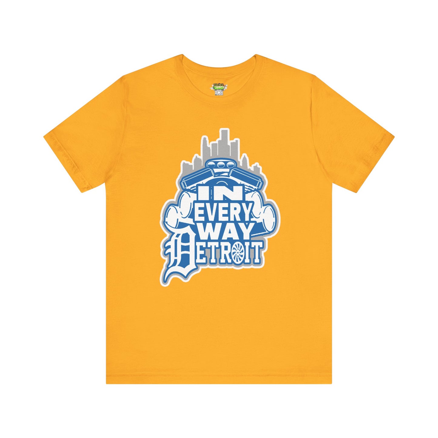 In every way detroit Lions Color tee