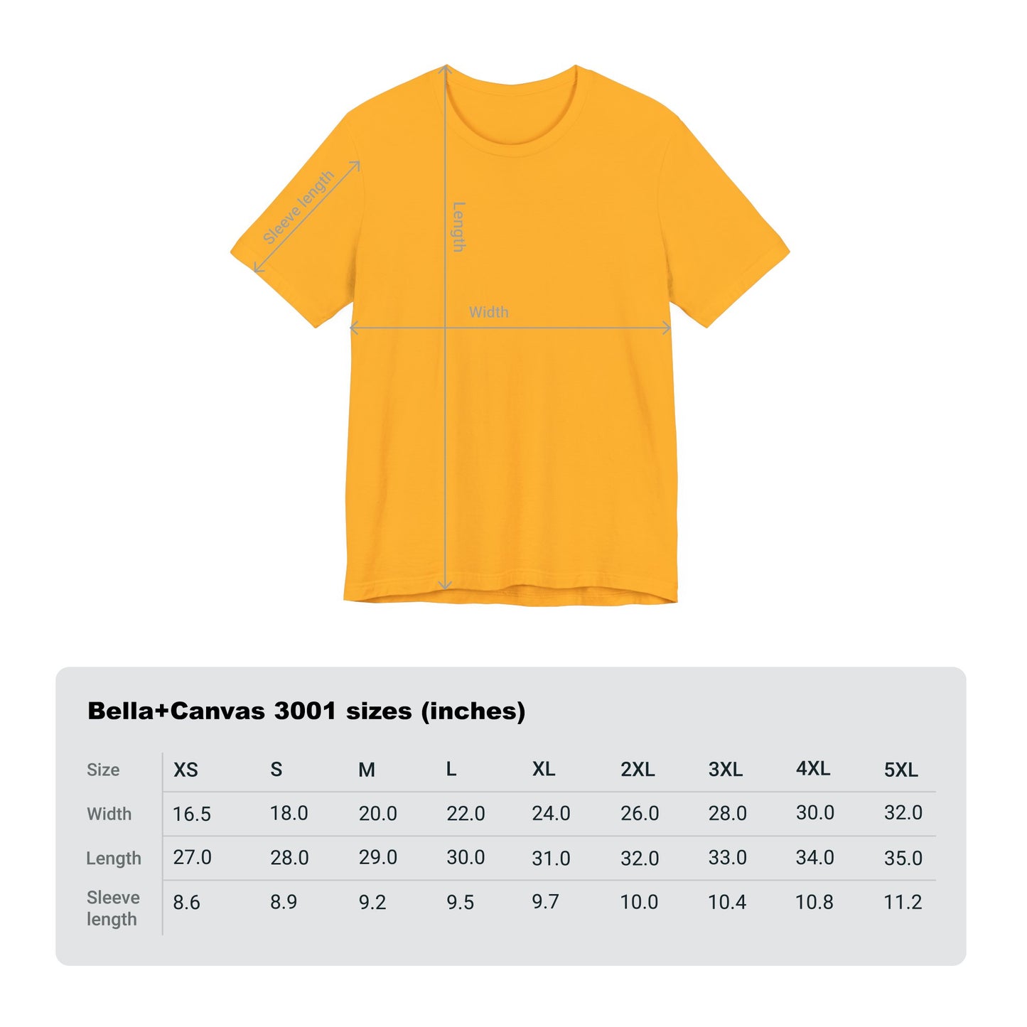 LION COLOR DETROIT 313 FOOT BALL SHIRT