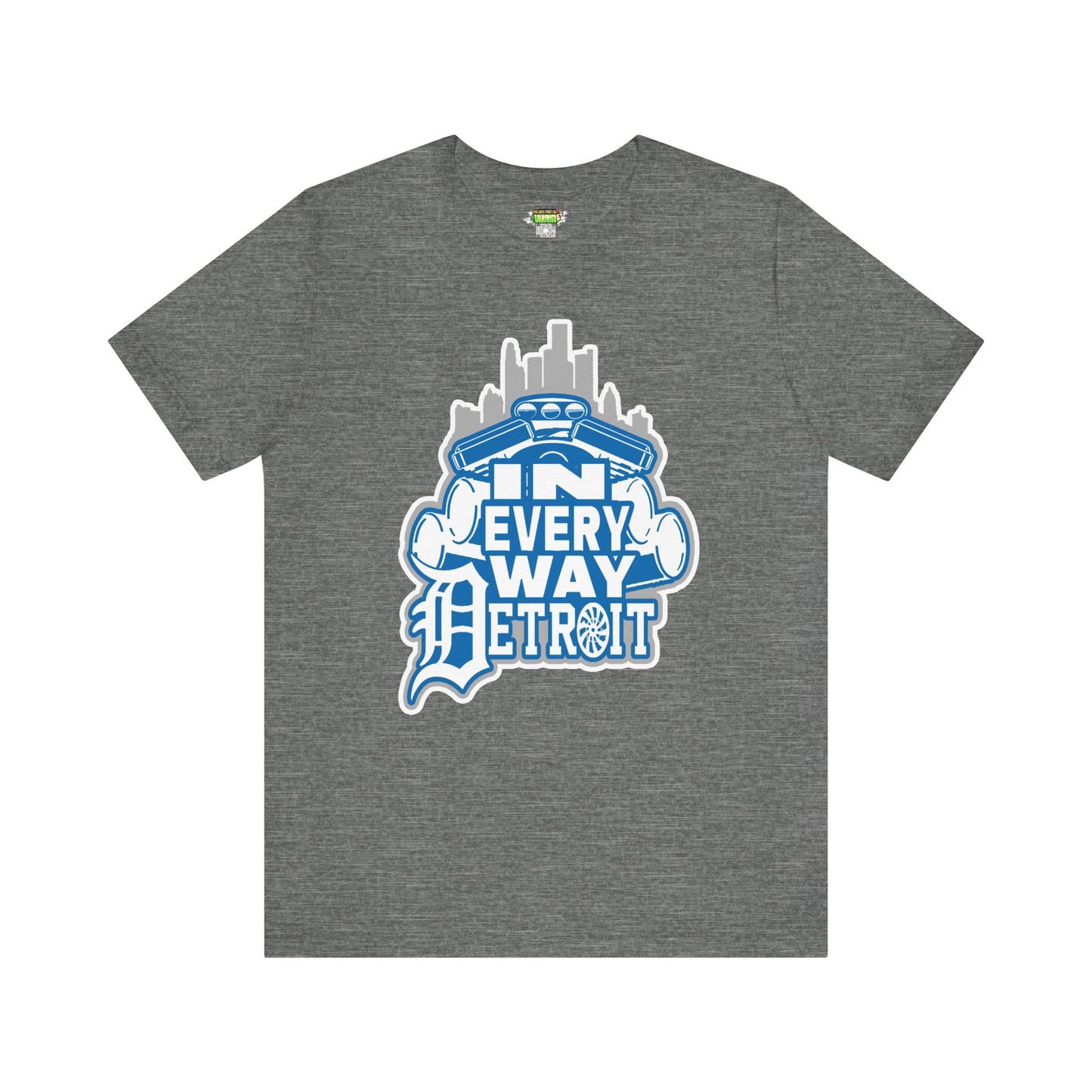 In every way detroit Lions Color tee