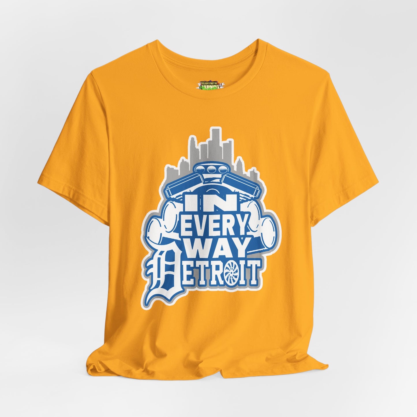 In every way detroit Lions Color tee